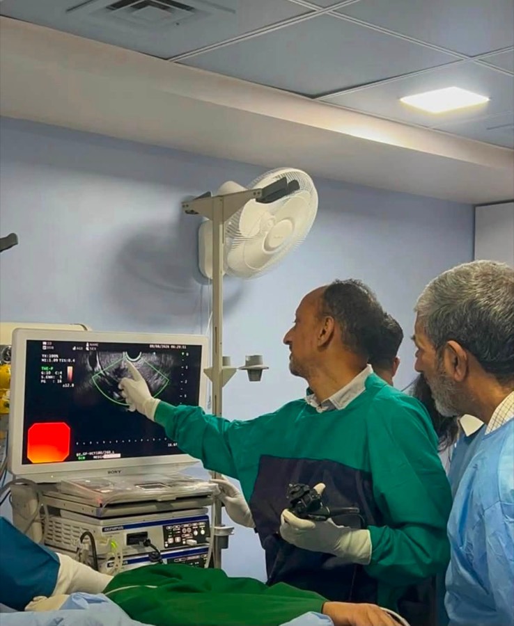 Third Space Endoscopy workshop: POEM, STER and ESD.